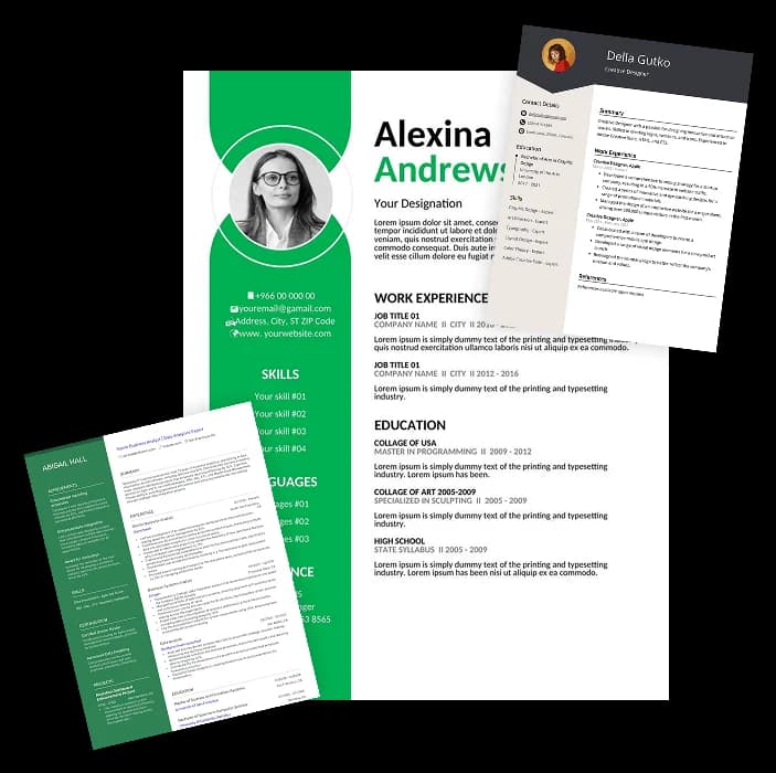 Professional Resume Builder Dashboard Preview